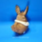 Thumbnail: Chocolate Cybunny Plush