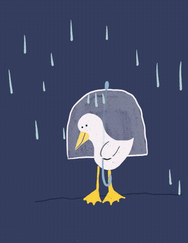 Rain Duck small.gif