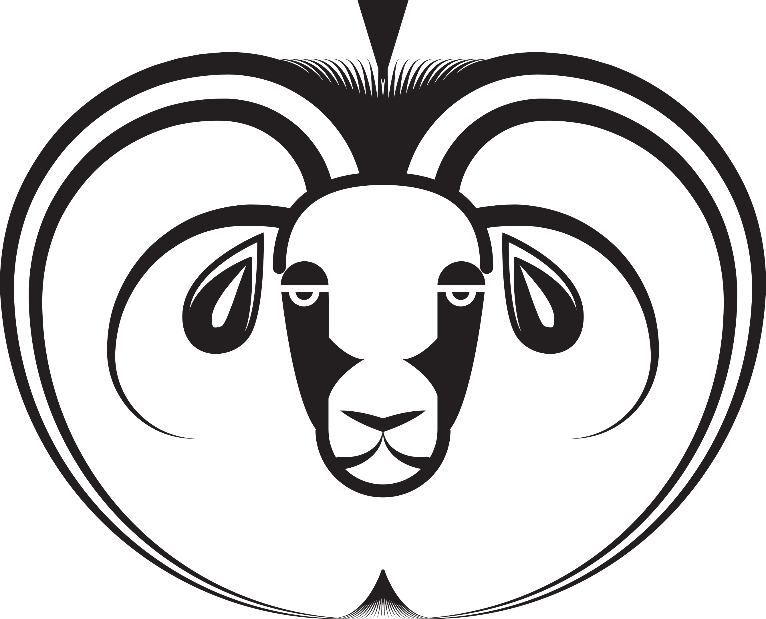 Scrumpy Ewe Cider | Unfiltered Artisanal Cider | Schoharie County