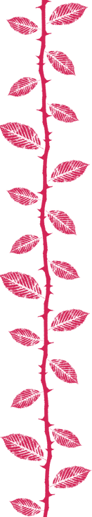 thorn%2520stem_edited_edited.png