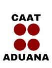 CAAT_edited.png