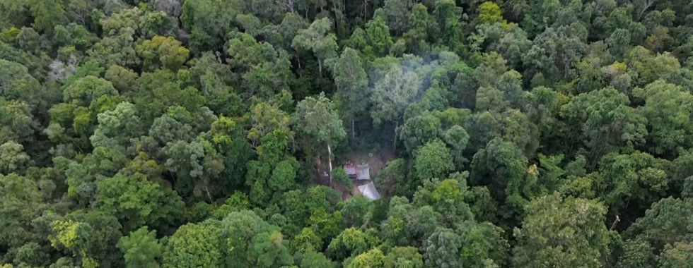 Dense green forest aerial view with a small clear area, smoke rising suggesting a campfire, creating a serene, natural atmosphere.