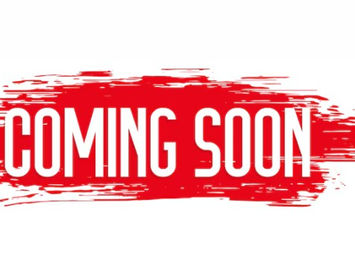 Namiki White Tiger maki-e limited edition fountain pen