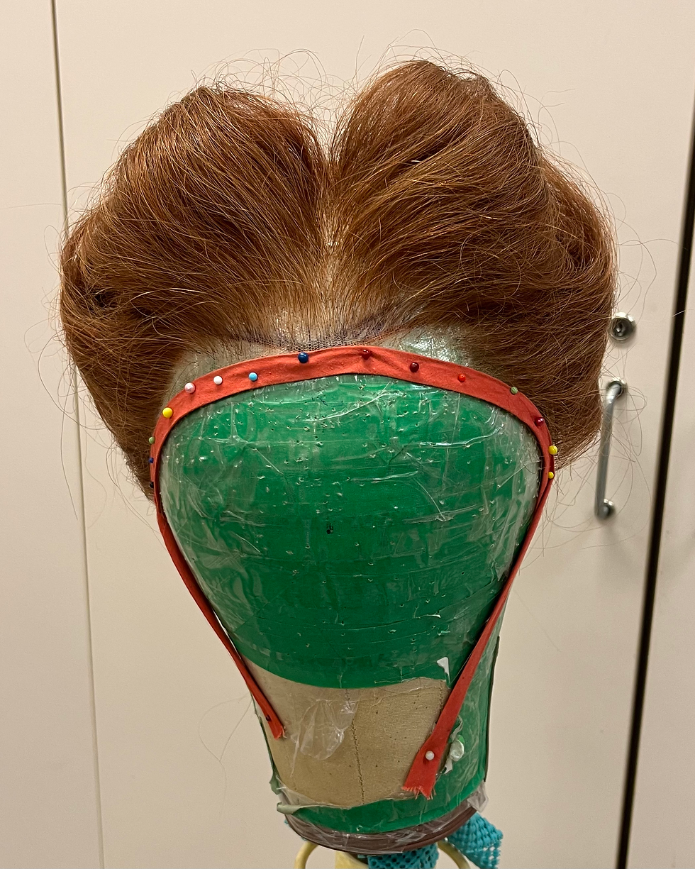 Edwardian/ Early 1900s Silhouette