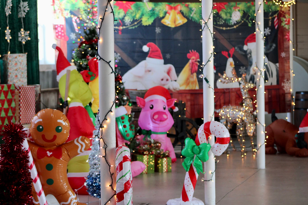 Christmas Display