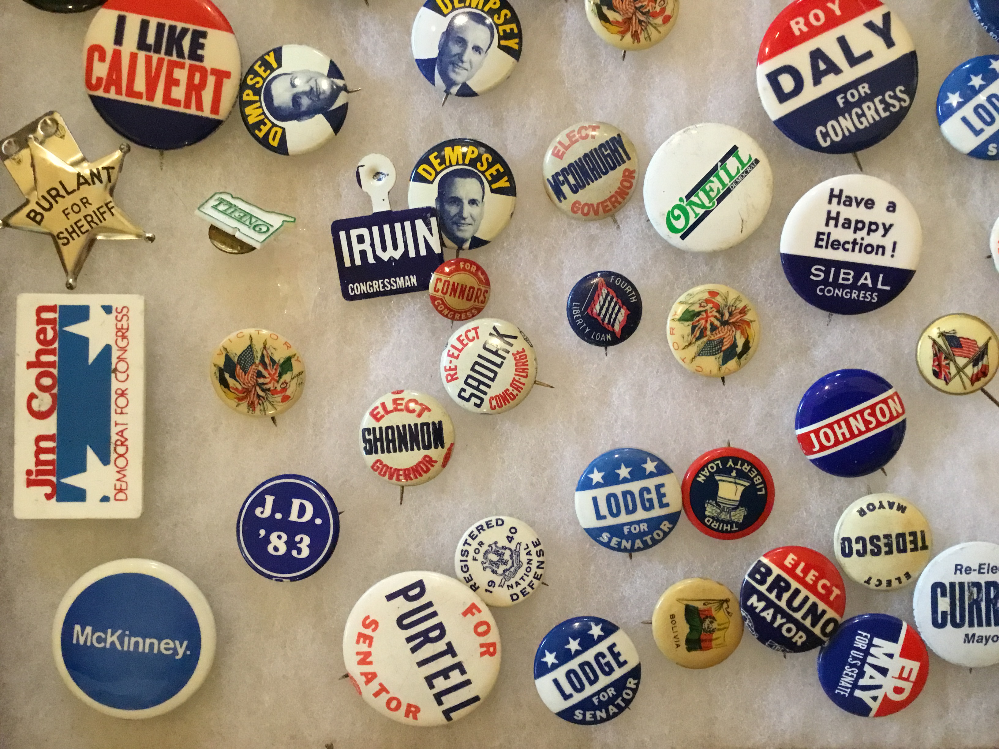 Political pins