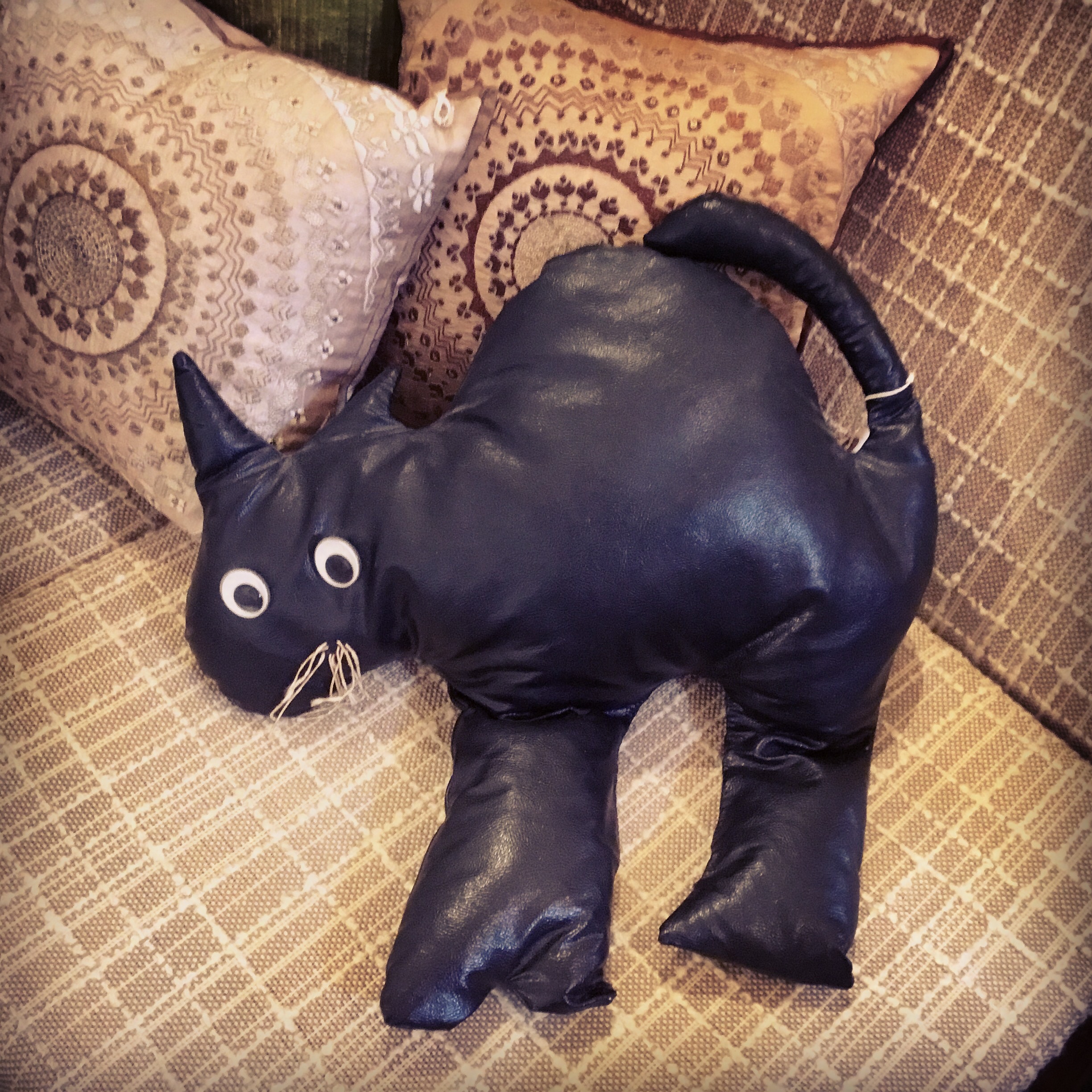 Black Cat Pillow