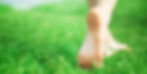 shutterstock_33373867_5.jpg