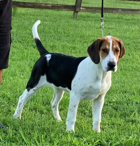 214119883_10165377909855164_3861203150317834537_n - Copy.jpg