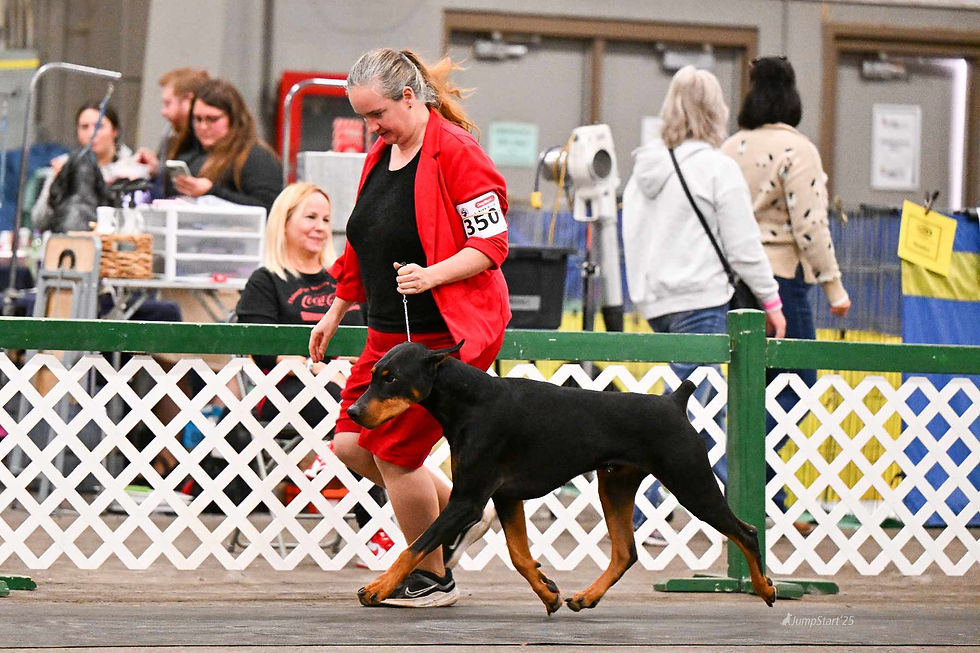 JJ on his way to RWD