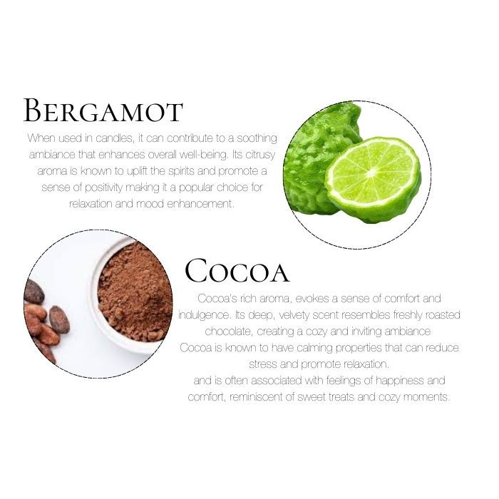 Thumbnail: Enchanted diffuser by Coco Luxe — luxury plant-based home fragrance designed to evoke warmth and elegance