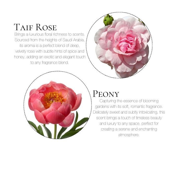 Thumbnail: top notes for my darling p diffuser