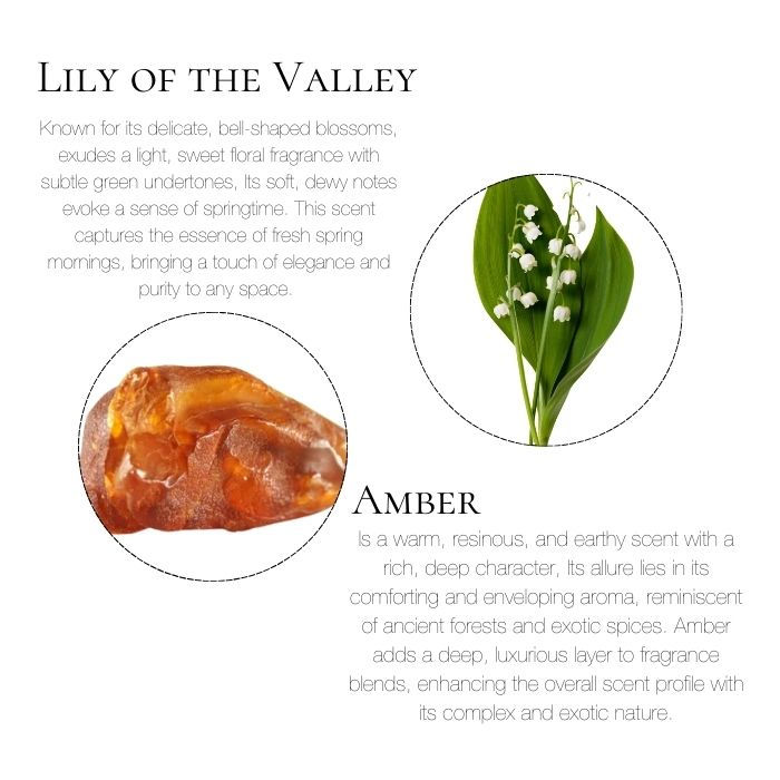 Thumbnail: Enchanted diffuser by Coco Luxe — luxury plant-based home fragrance designed to evoke warmth and elegance