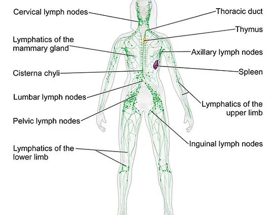 Awakening, Reiki, reflexology, aromatherapy, healer