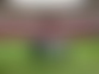 Regresa la Selección Mexicana a Jalisco tras 14 Años de Ausencia