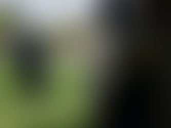 Comisión de Búsqueda realiza operativo en las inmediaciones de Tesistán