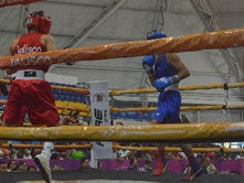 Jalisco Avanza con Determinación en el Boxeo de los Nacionales CONADE