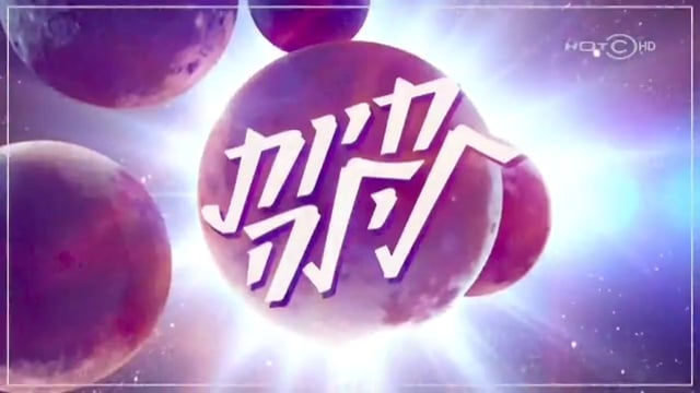 חיות לילה