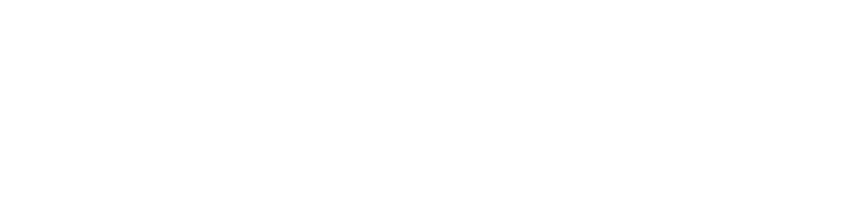 TRIOND-logoWIGHT_edited.png