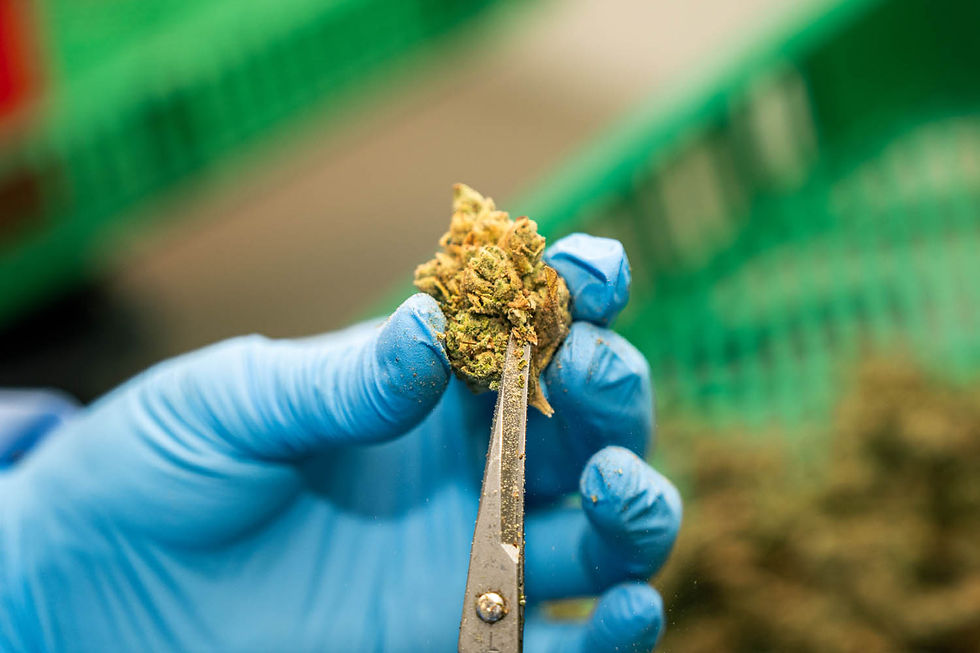 קיימות במתקני הגידול – הדרך הירוקה של בריאה