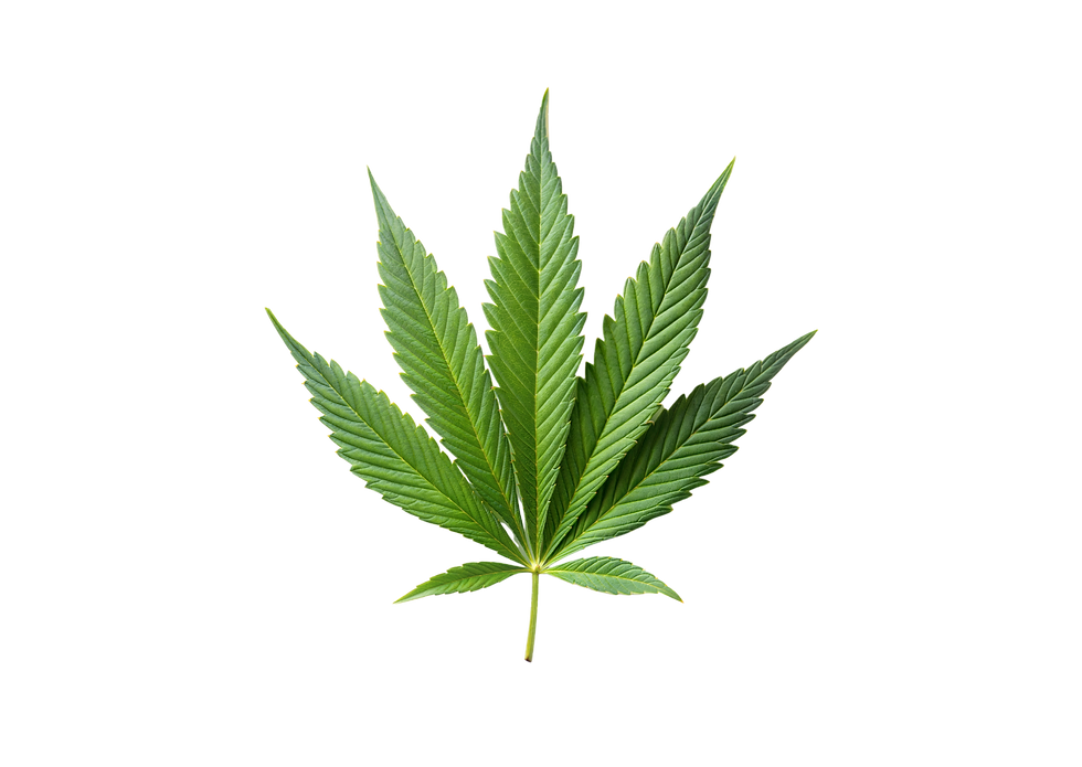 קנאביס רפואי מאושר משרד הבריאות