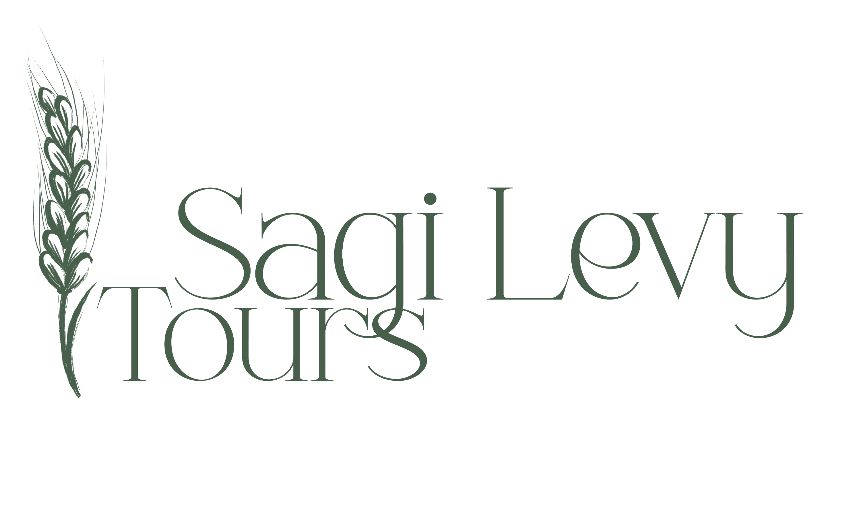 Sagi Levy Tours