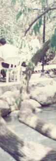 Screenshot 2022-03-22 132033.jpg