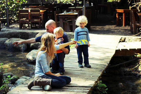 דג על הדן3.jpg