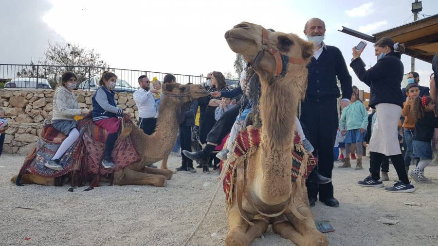 כרטיסים מוזלים לרוכשים באתר