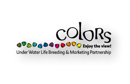 Colors logo