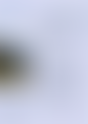 1st Newsletter for 2022