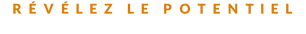 customcolor_textlogo_transparent_background.png