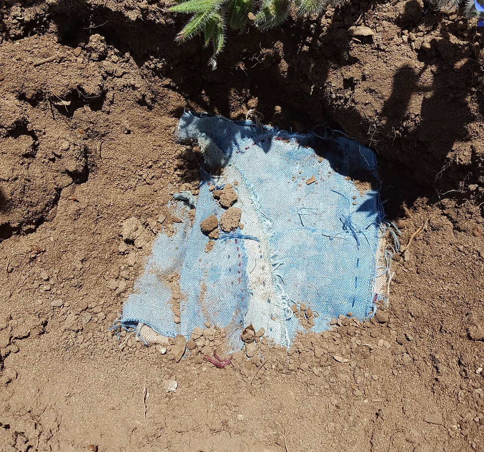 Shirt to dirt burial June 28.jpg