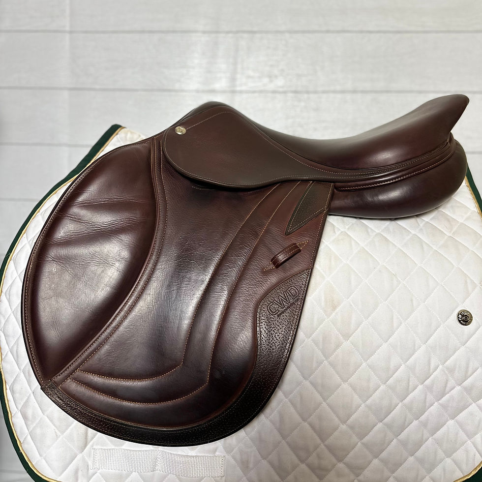 Thumbnail: 2017 CWD se02 17.5 3L 