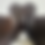 Thumbnail: 2024 17.5 2L CWD se01