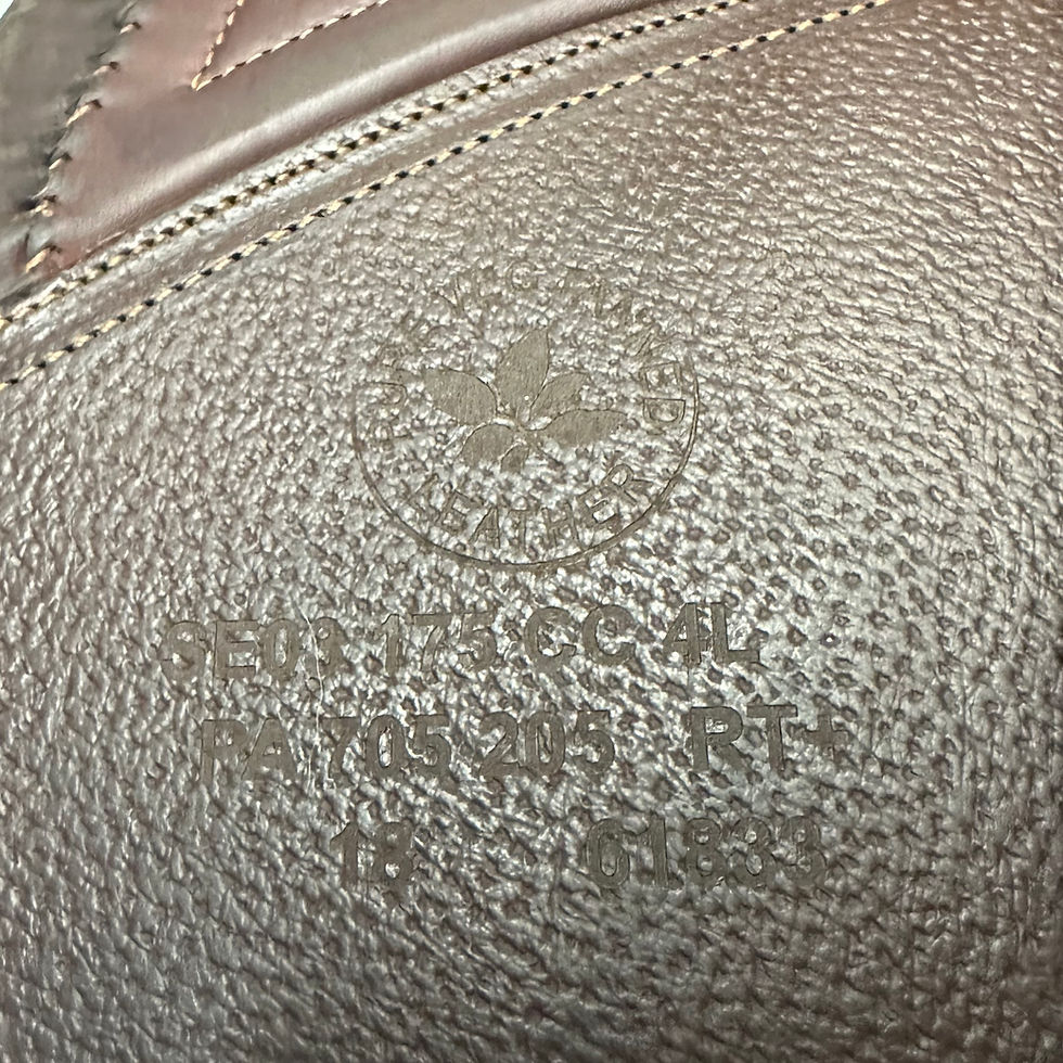 Thumbnail: 2018 17.5 4L CWD se03 - Buffalo 