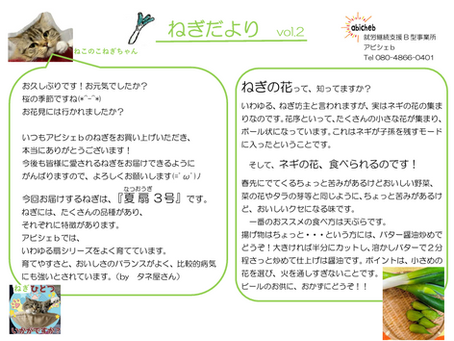 ねぎだよりをお届けします