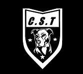 C_._S_._T_Coamndo_de_Segurança_Tática_4.