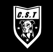 C_._S_._T_Coamndo_de_Segurança_Tática_4.