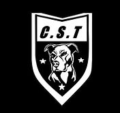 C_._S_._T_Coamndo_de_Segurança_Tática_4.