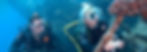 WreckDiver_1440x512.jpg
