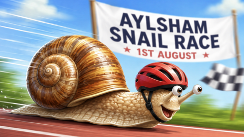 Ready, Steady, SLOW!