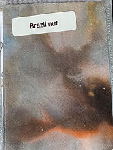 Brazilnut Dharma