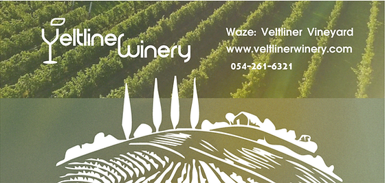 veltliner winery-5.png