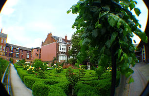 Trees, bushes and buildings