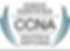 CCNA Routing and Switching