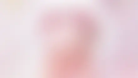 【ラペオニアselectお知らせ】Pullip 生誕20周年記念モデル「Decoration Dress Cake(デコレーションドレスケーキ)」を特別価格でご提供!