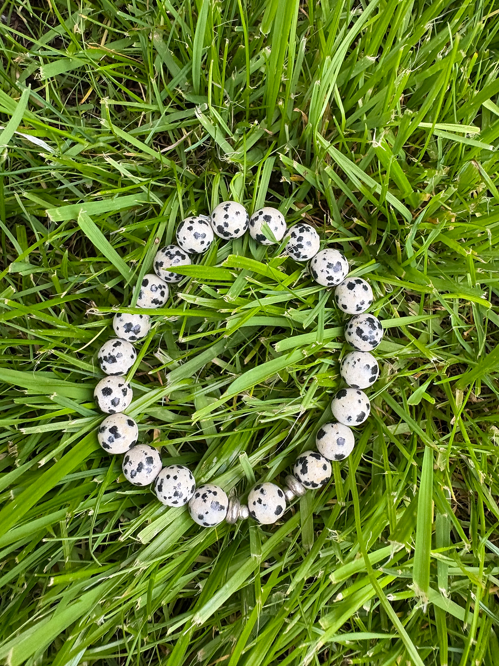 Dalmatian Jasper bracelet on grass