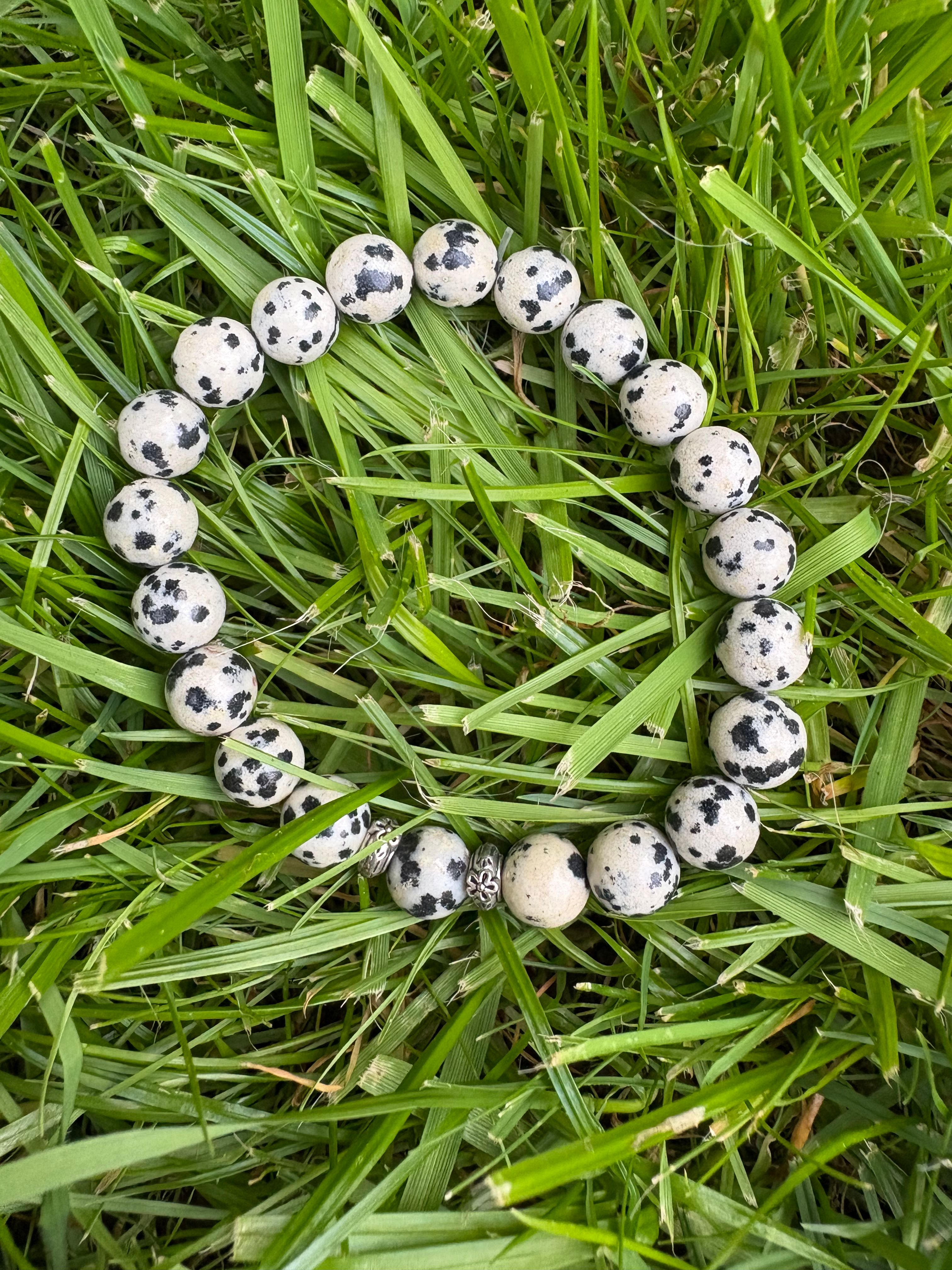 Dalmatian Jasper bracelet with 2 silvertoned beads framing in centre stone. 17cm in size. White toned beads with black spoting.