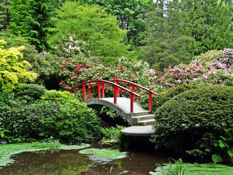 Haunted Kubota Gardens